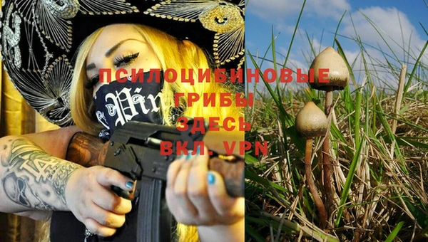 MESCALINE Абинск