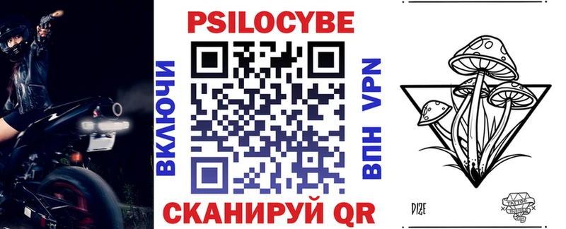 купить закладку  Сергач  Псилоцибиновые грибы Psilocybine cubensis 